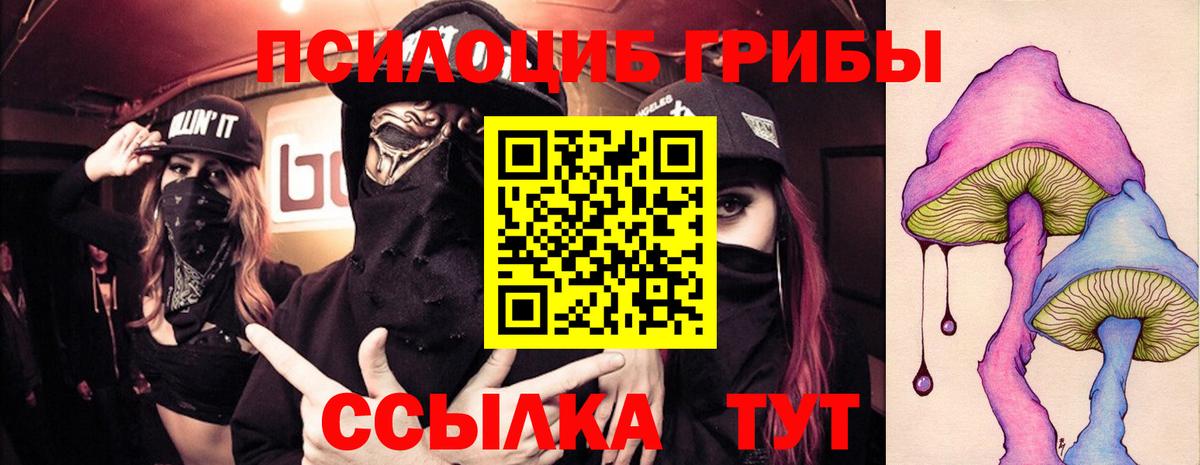 Галлюциногенные грибы Psilocybine cubensis Нижний Новгород