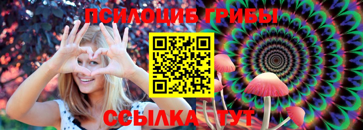 Нижний Новгород  Псилоцибиновые грибы мухоморы  Вход с VPN 